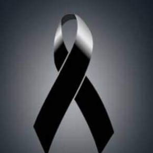 Meet your Posher, Julio